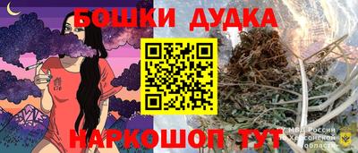 МДПВ Лесосибирск
